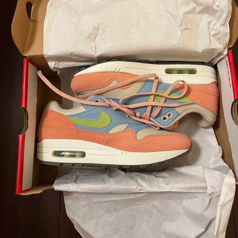 Nike Air Max 1 men’s 6